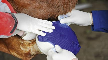 Verband,verbinden Verletzungen richtig bandagieren