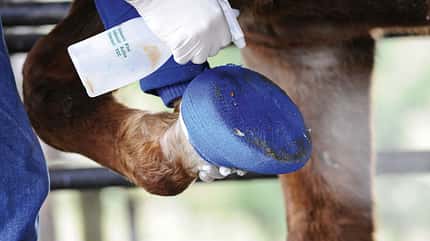Verband,verbinden,sprühen Verletzungen richtig bandagieren