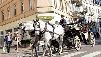 CAVALLO Porträt Sabrina Möller Porträt Sabrina Möller