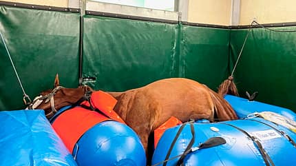 CAVALLO Equi-lift Equi-lift