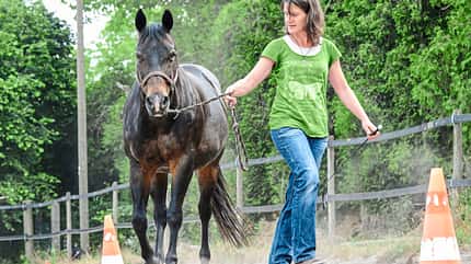 CAVALLO Übungen mit 4 Pylonen Übungen mit 4 Pylonen