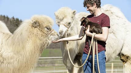 CAVALLO Arien Aguilar Arien Aguilar
