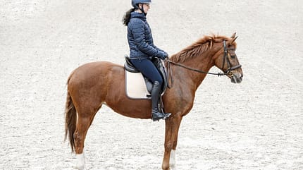 CAVALLO Top Thema Sattel Top Thema Sattel