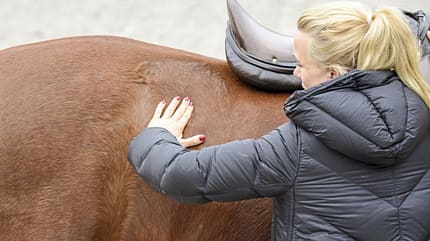 CAVALLO Top Thema Sattel Top Thema Sattel