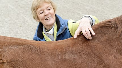 CAVALLO Top Thema Sattel Top Thema Sattel