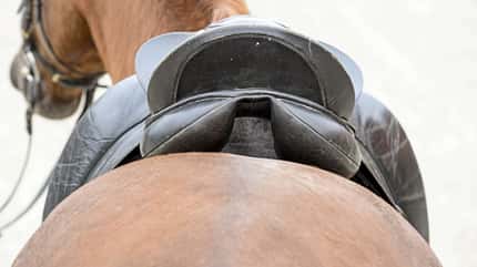 CAVALLO Top Thema Sattel Top Thema Sattel