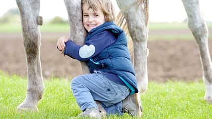 CAVALLO Streichelzoo Streichelzoo