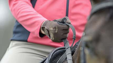 CAVALLO Themenschwerpunkt Ausbildungsskala Themenschwerpunkt Ausbildungsskala