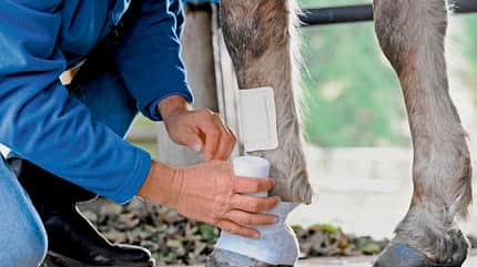 CAVALLO Moderne Wundbehandlung Moderne Wundbehandlung