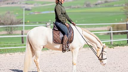 CAVALLO Tragkraft-Training Tragkraft-Training