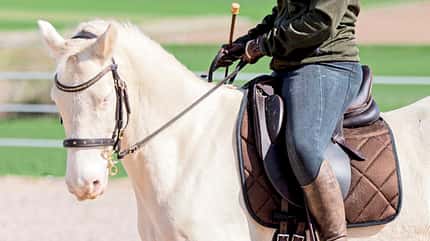 CAVALLO Tragkraft-Training Tragkraft-Training