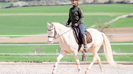 CAVALLO Tragkraft-Training Tragkraft-Training