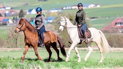 CAVALLO Tragkraft-Training Tragkraft-Training