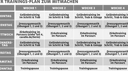 CAVALLO Tragkraft-Training Trainingsplan Tragkraft-Training Trainingsplan
