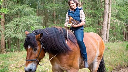 CAVALLO Report Waldfarmliebe Report Waldfarmliebe