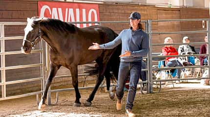 CAVALLO Kursbesuch bei Magali Delgado und Frédéric Pignon Kursbesuch bei Magali Delgado und Frédéric Pignon
