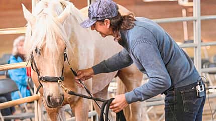 CAVALLO Kursbesuch bei Magali Delgado und Frédéric Pignon Kursbesuch bei Magali Delgado und Frédéric Pignon