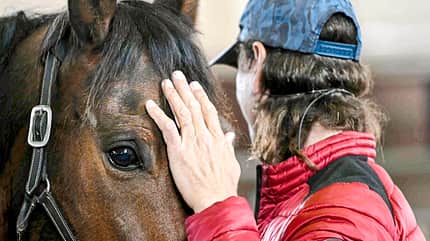 CAVALLO Kursbesuch bei Magali Delgado und Frédéric Pignon Kursbesuch bei Magali Delgado und Frédéric Pignon