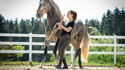 CAVALLO Notstopp reiten Notstopp reiten