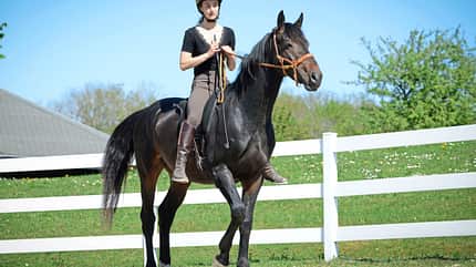 CAVALLO Notstopp reiten Notstopp reiten