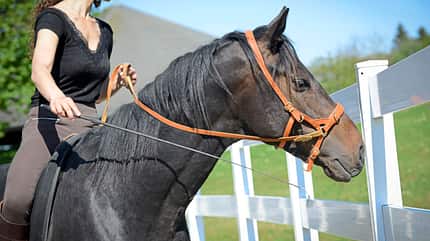 CAVALLO Notstopp reiten Notstopp reiten