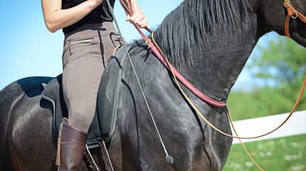 CAVALLO Notstopp reiten Notstopp reiten