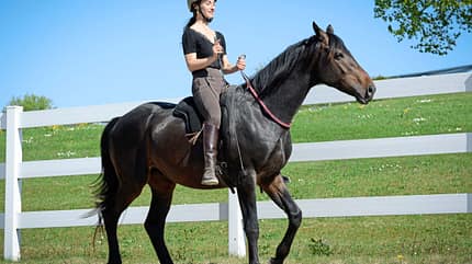 CAVALLO Notstopp reiten Notstopp reiten