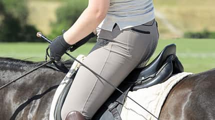 CAVALLO Ausbildungsskala Takt Ausbildungsskala Takt