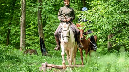 CAVALLO Serie Tragkraft-Training Serie Tragkraft-Training