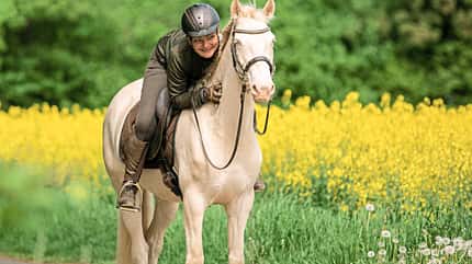 CAVALLO Serie Tragkraft-Training Serie Tragkraft-Training