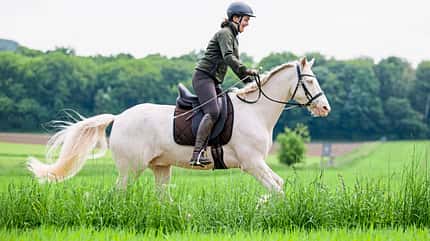 CAVALLO Serie Tragkraft-Training Serie Tragkraft-Training