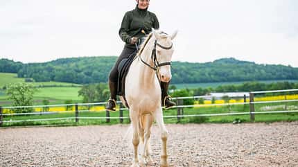 CAVALLO Serie Tragkraft-Training Serie Tragkraft-Training