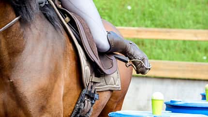 CAVALLO Allround-Training Allround-Training
