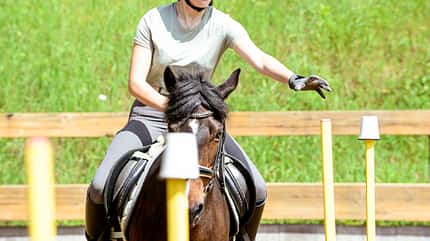 CAVALLO Allround-Training Allround-Training