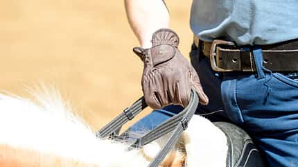 CAVALLO Allround-Training Allround-Training