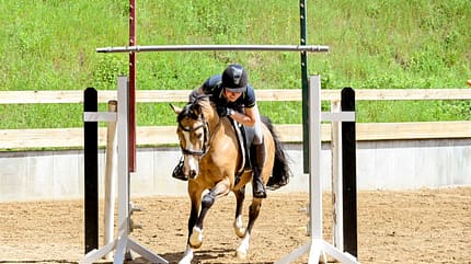 CAVALLO Allround-Training Allround-Training