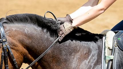 CAVALLO Allround-Training Allround-Training