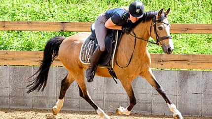 CAVALLO Allround-Training Allround-Training