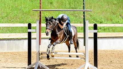 CAVALLO Allround-Training Allround-Training