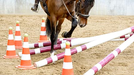 CAVALLO Allround-Training Allround-Training