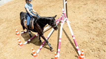 CAVALLO Allround-Training Allround-Training