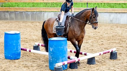 CAVALLO Allround-Training Allround-Training