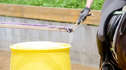 CAVALLO Allround-Training Allround-Training