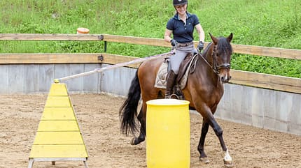 CAVALLO Allround-Training Allround-Training