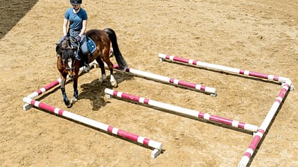 CAVALLO Allround-Training Allround-Training
