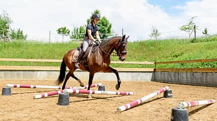 CAVALLO Allround-Training Allround-Training