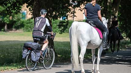 CAVALLO Dossier Radler vs Reiter Dossier Radler vs Reiter