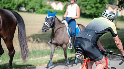 CAVALLO Dossier Radler vs Reiter Dossier Radler vs Reiter
