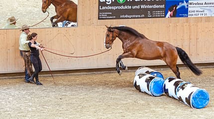 Natural Horsemanship mit Pat Parelli