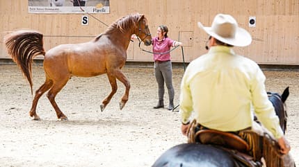 Natural Horsemanship mit Pat Parelli